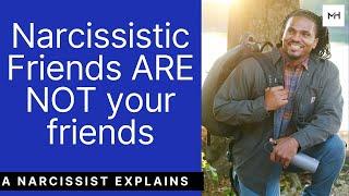 What about friends that have narcissistic traits and tendencies? Narcissistic friends and allies?