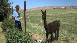 Napoleon Dynamite - Eat the Food! [HQ]