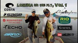 LOBINAS PESCADAS CON MOSCA VOL.1 / BASS ON THE FLY, VOL.1