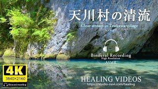 [Healing/Natural Sounds] Beautiful clear streams in Japan | Tenkawa Village | Binaural recording