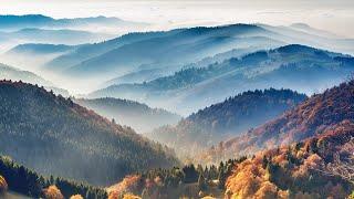 The Mysteries Of Germany's Black Forest