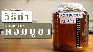 วิธีทำ คอมบูชา ชาหมักสุขภาพ แก้ท้องผูก ขับถ่ายไม่ดี ดื่มง่ายอร่อย | Homemade KOMBUCHA |Vegan Startup