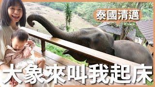 跟大象睡一晚：大象來門口叫我起床！｜泰國清邁｜ Chiang Mai Elephant Friends｜豬豬隊友 Scott & Wendy