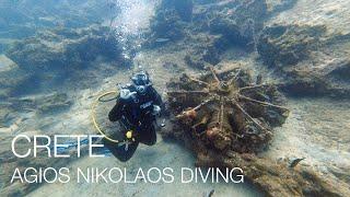 Crete | Diving | Agios Nikolaos | Greece