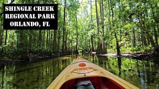 WILDLIFE CRUISE! Kayaking Shingle Creek Regional Park, Orlando, FL 4K VIDEO