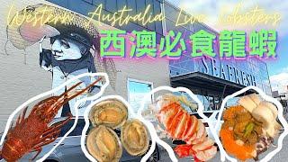 西澳必食| 野生龍蝦| 龍蝦工廠| 青邊鮑| 柏斯 Perth Vlog| Western Australia Live Lobster|  Wild Seafood|  #海產#美食#澳洲龍蝦