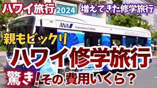 【ハワイ旅行】修学旅行にハワイ⁉増えて来たハワイ修学旅行の驚きの費用はいくら？なぜ日本国内旅行ではなくハワイ旅行が増えたのか？|ハワイの今|ワイキキ最新情報|