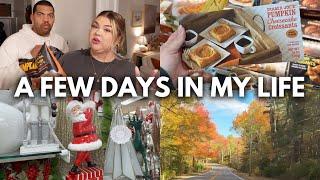 trader joe’s fall snacks, christmas preview at homegoods, peak foliage | a few days in my life vlog