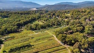 37.5 Acre Orchard- Integrity Real Estate Yarra Valley