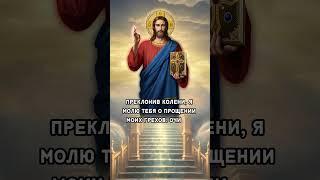 Безмолвная молитва  #бог #молитва #православие #вера #иисусхристос #христос #икона #иисус #молиться