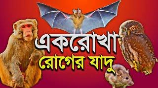 একরোখা- একঘেঁয়ে- গোঁয়ার- অবাধ্য- ঘাউরা হওয়ার যাদু  | Dangerous black magic #spiritual_tv