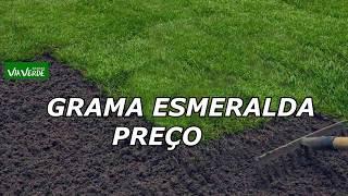 Grama esmeralda preço - Gramas Via Verde