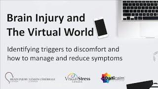 Brain Injury and The Virtual World