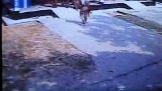 CCTV VIDEO OF PILKHANA TRAGEDY -COURTESY CH 1