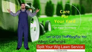 Lawns