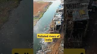 Yamuna river polluted?