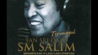 SM Salim - Lagu Zaman (Official Audio Video)