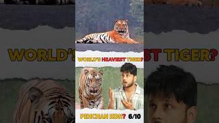 World biggest tiger of India?