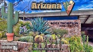 Boyce Thompson Arboretum: 5 Mile Hike Thru Deserts of the World Then Drive Over the Top of the World