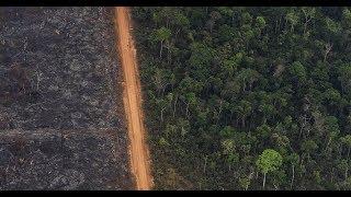 World leaders pledge to protect nature. The U.S., Brazil and Australia aren’t among them.