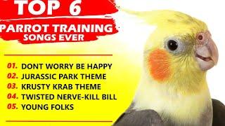 PARROT TRAINING SONGS EVER-Whistle Training-Teach Your Bird-Cockatiel Singing-Budgie