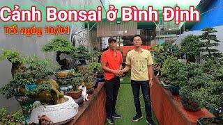 Clip Đặc Biệt tham quan vườn cây Mini tuyệt đẹp của Cảnh Bonsai ở Bình Định