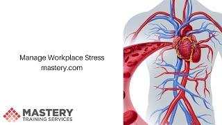 Manage Workplace Stress - Training Clip