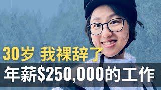 30岁 裸辞$250,000年薪的工作 WHY？| I QUIT MY $250,000 JOB after a trip to Africa and learning THIS