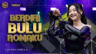 BERDIRI BULU ROMAKU - Cantika Adella - OM ADELLA