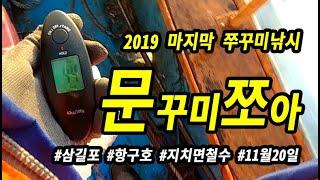 20191120 20마리목표 초과달성 삼길포 항구호 마지막 선상낚시 운이좋은날