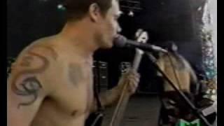 Red Hot Chili Peppers - Higuer Ground Live  Pink Pop 1990