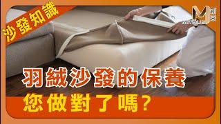 #新采家具小常識 一定要懂得沙發常識【新采精品家飾】