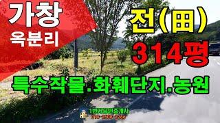 [대구땅매매]달성군 가창면 옥분리 도로 60미터 접한 가시성 좋은 땅 화훼단지 농원 특수작물재배 등 향후 투자성으로도 좋아요 010-2508-2266