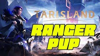 Tarisland Ranger PVP