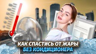 Как спастись от жары? | Умскул | Средняя школа