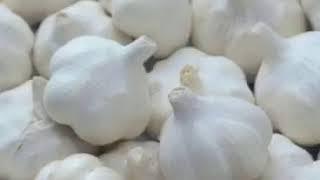 中国大蒜四大产区11月12日行情！China's four major garlic producing areas on November 12!