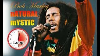 Bob Marley Natural Mystic Half hour loop