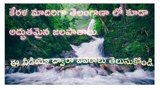 TOP 5 waterfalls in TELANGANA