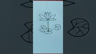 water 🪷 lily drawing with pencil for kids//