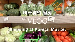 eng)[미국 일상 VLOG]한인마트투어, 로드아일랜드,프로비던스/Korean Market Tour in Providence, RI