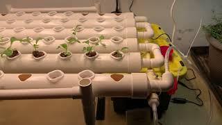 VIVOSUN Hydroponics Growing System 54 plants (Amazon)