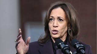 Kamala Harris campaign adviser's startling internal poll revelation amid fallout of defeat