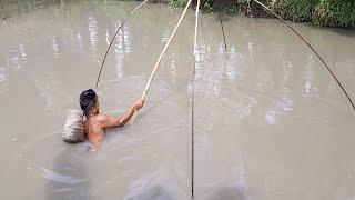 Net fishing in pond || Fish hunting with bamboo four corner nets