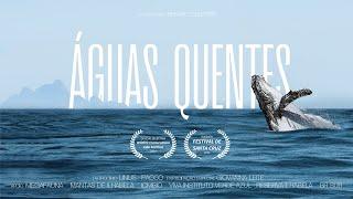 WARM WATERS Documentary | HUMPBACK WHALE migration and biodiversity in ILHABELA