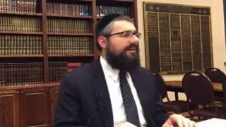 Rabbi Mendel Kaplan on The Traditions of Tu B'Shvat (2017 02 06)