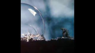 Micro GODZILLA, winter is coming. #Shorts