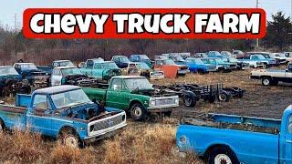 Welcome To The Truck Farm! Chevy Trucks