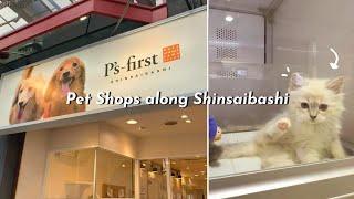 Visited Two Pet Shops Along Shinsaibashi, Osaka, Japan | Adorable Puppies and Kittens!