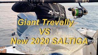 Insane drag screaming New Daiwa 2020 Saltiga