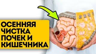 Вся грязь выйдет за неделю! Детокс программа для очищения организма